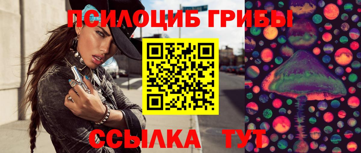 Псилоцибиновые грибы GOLDEN TEACHER  где купить   Вход с VPN  Кубинка  Псилоцибиновые грибы MAGIC MUSHROOMS 