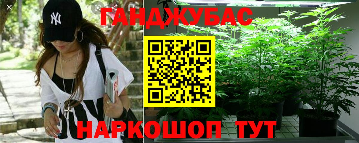 МАРИХУАНА план Кубинка